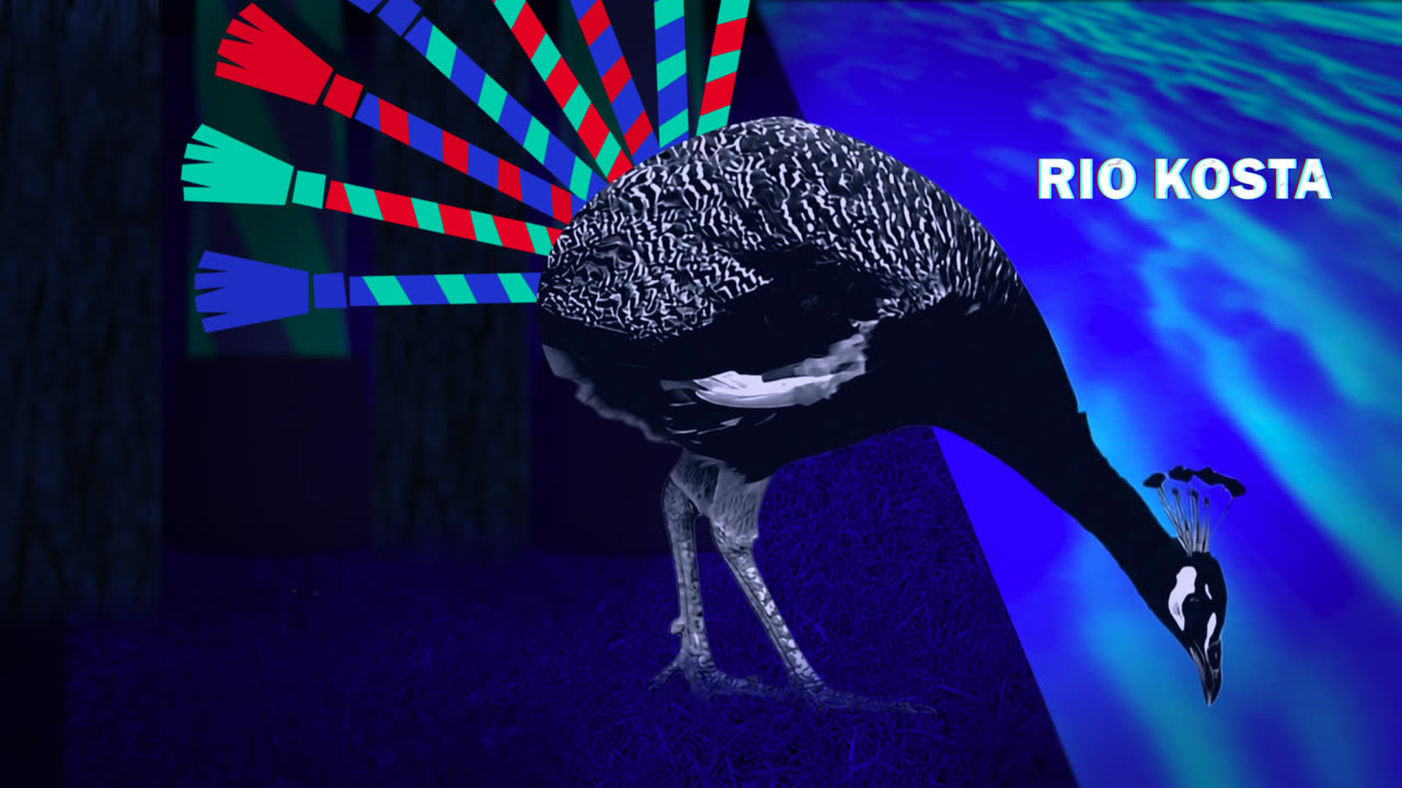 Electric Forest scene 3