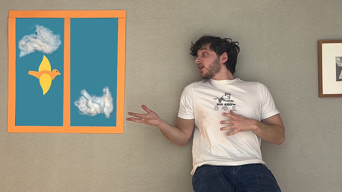 Temu stop motion bird scene