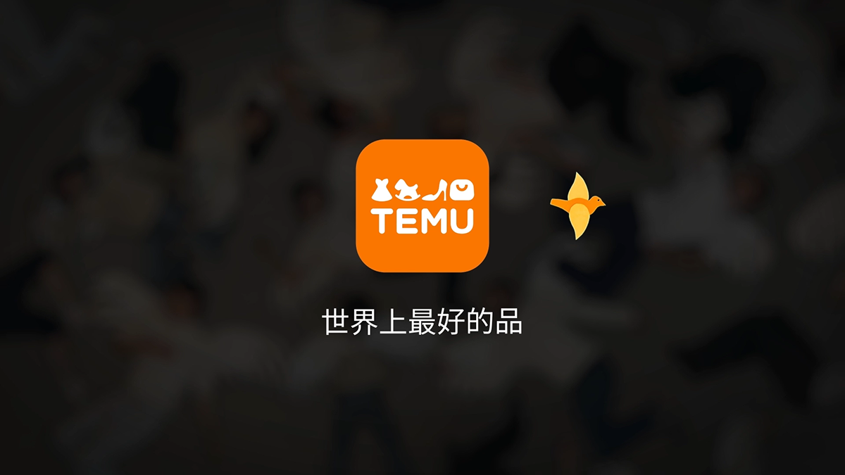 Temu stop motion end frame